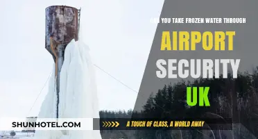 Airport Security: Can You Bring Frozen Water?