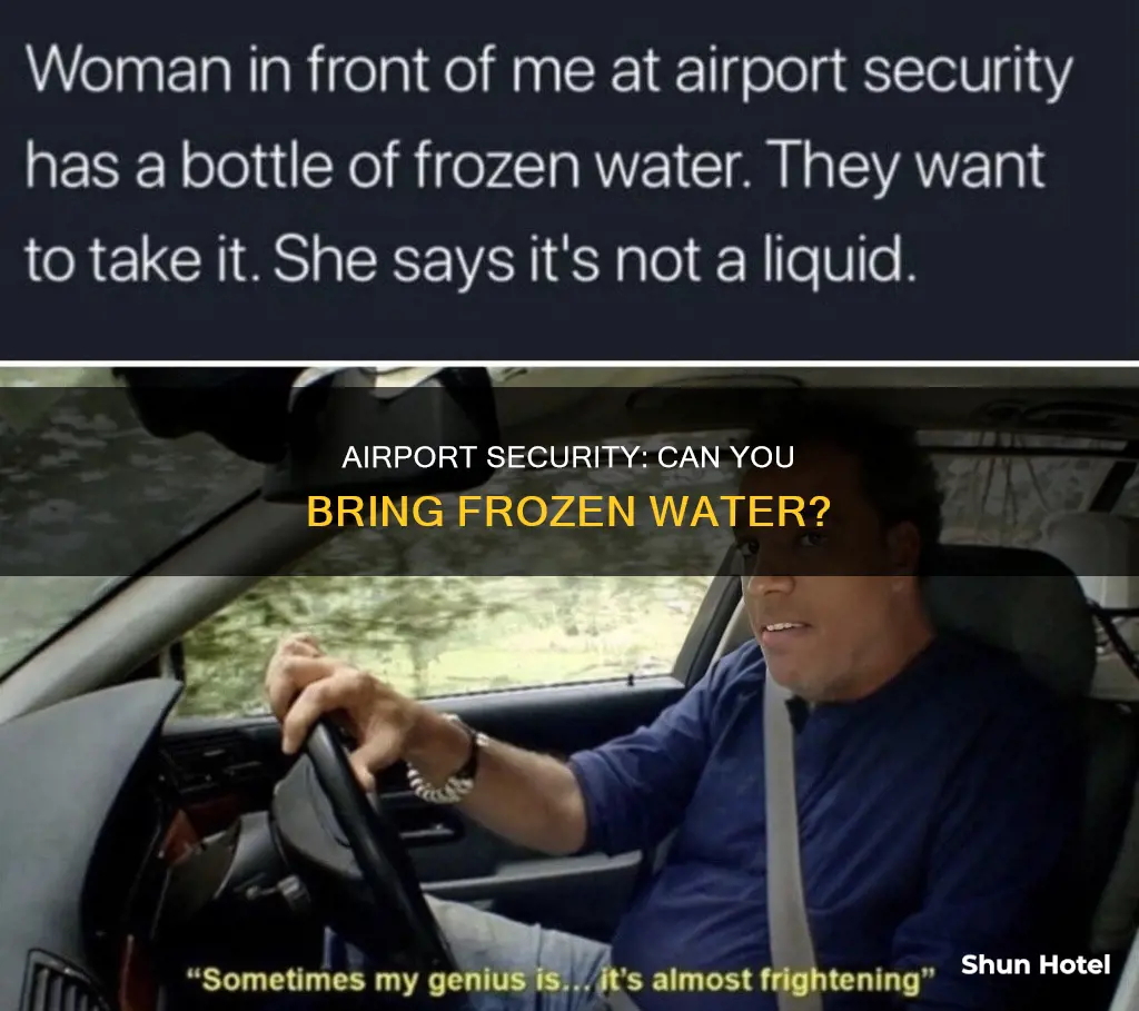 can you take frozen water through airport security