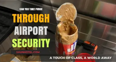 Airport Security and Fudge: What You Need to Know