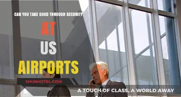 Travelers' Dilemma: Goodies Through US Airport Security