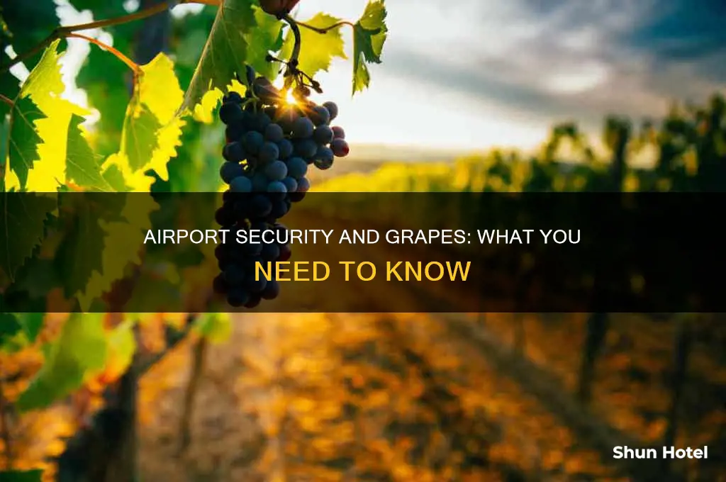 can you take grapes through airport security