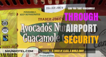 Traveling with Guacamole: TSA Rules and Tips