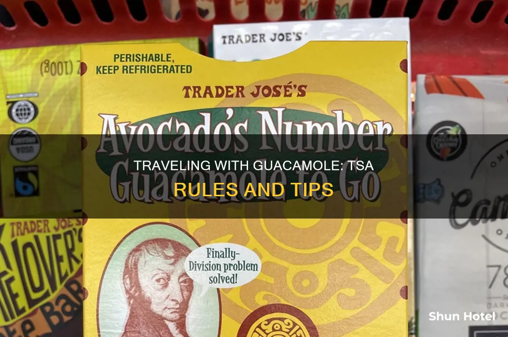 can you take guacamole through airport security