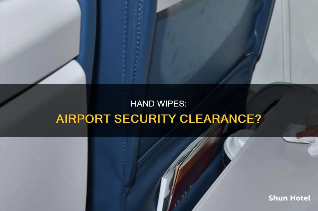 can you take hand wipes through airport security