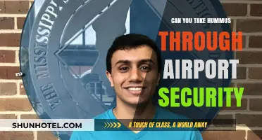 Hummus and Airport Security: What You Need to Know