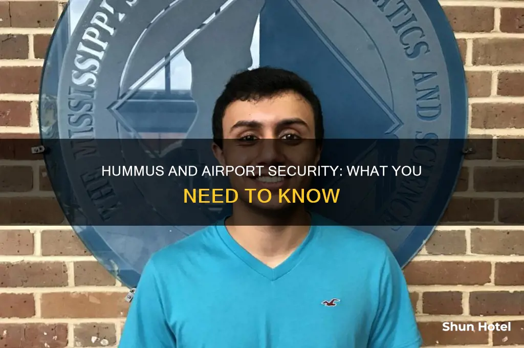 can you take hummus through airport security