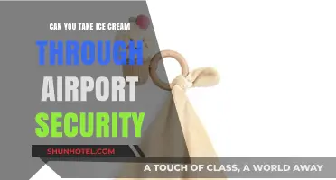 Traveling with Ice Cream: Airport Security Rules