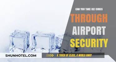 Travel Tip: Ice Cubes and Airport Security