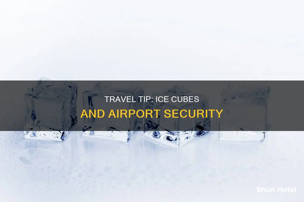 can you take ice cubes through airport security