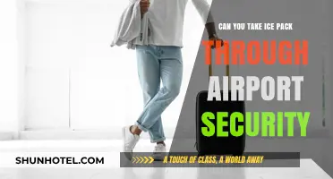 Flying with Ice Packs: Airport Security Rules