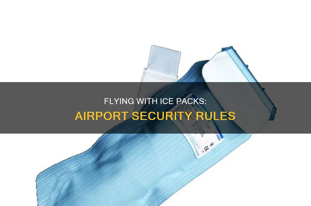 can you take ice pack through airport security