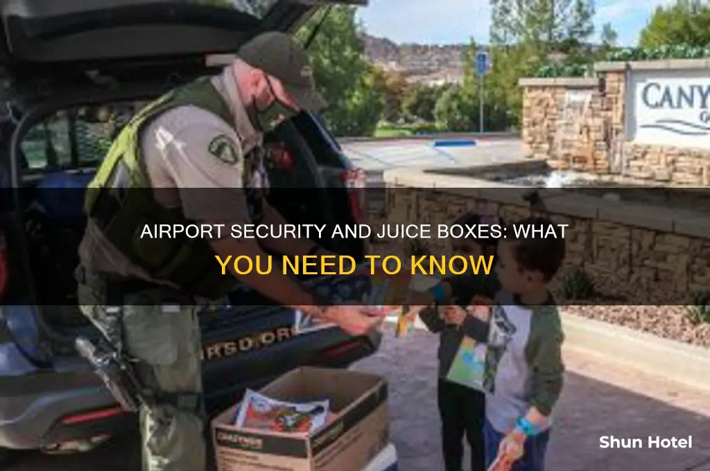 can you take juice boxes through airport security