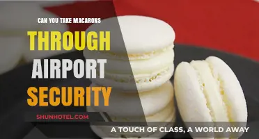 Traveling with Macarons: TSA Rules and Tips