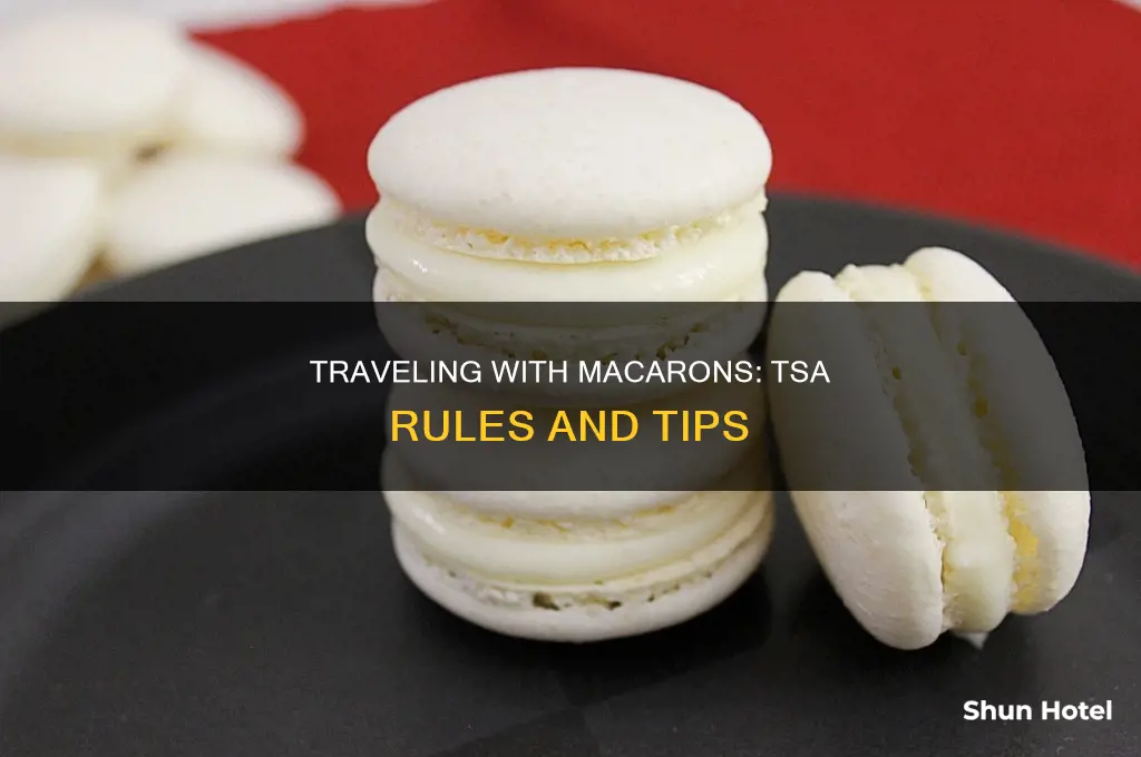 can you take macarons through airport security