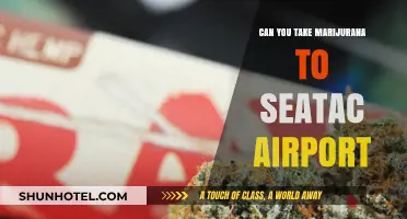 Marijuana Transport to Seattle Airport: What You Need to Know
