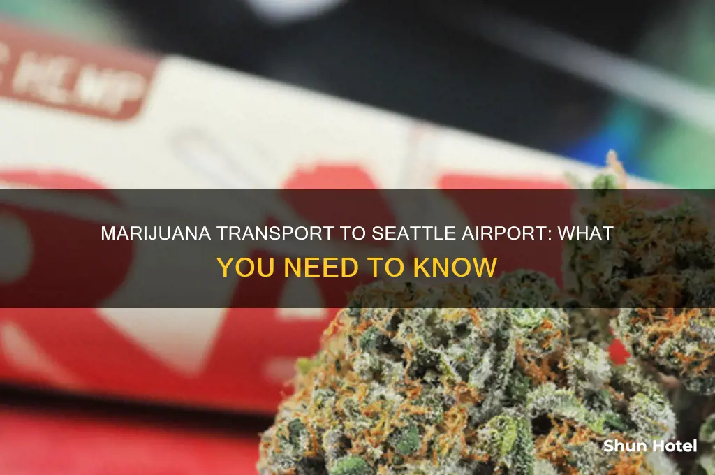 can you take marijurana to seatac airport