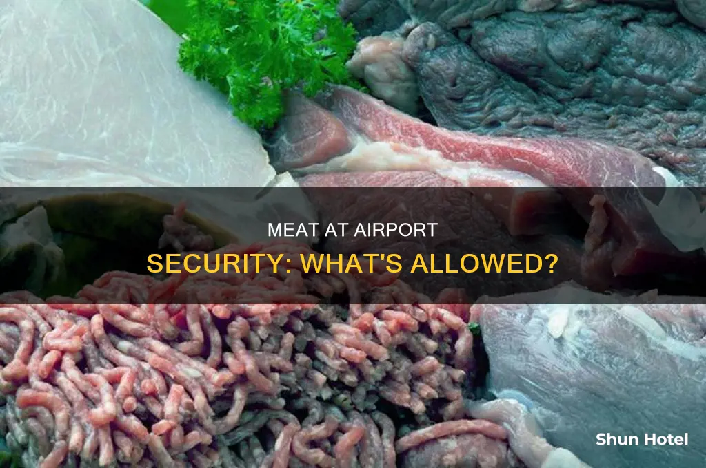 can you take meat through airport security