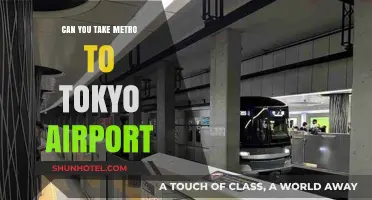 Traveling to Tokyo Airport: Can You Take the Metro?