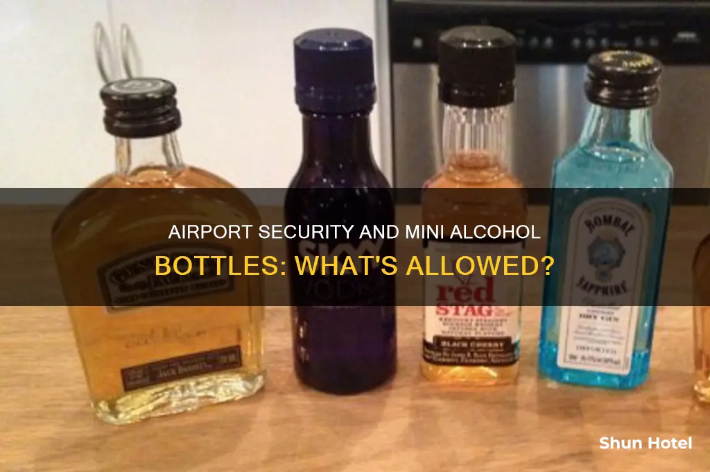 can you take mini alcohol through airport security