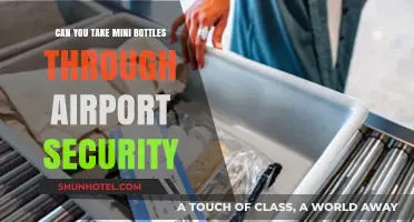 Travel-Sized Liquids: Airport Security Do's and Don'ts