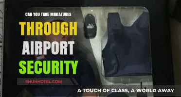 Traveling with Miniatures: Airport Security Rules and Tips