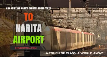 Narita Express: Direct Access from Tokyo to Narita Airport