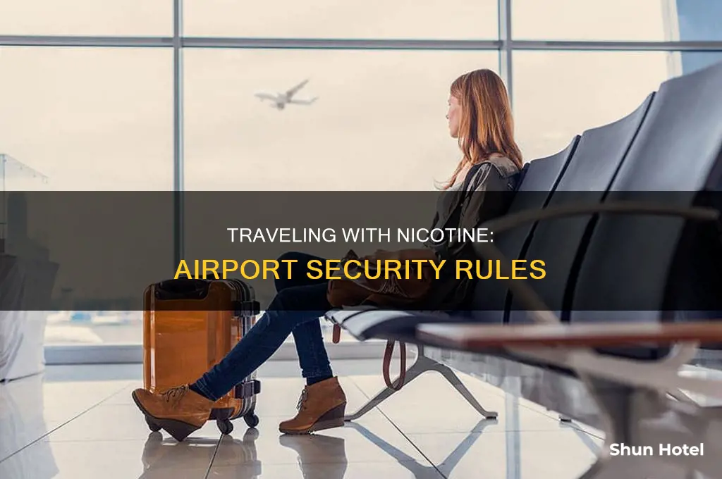 can you take nic through airport security