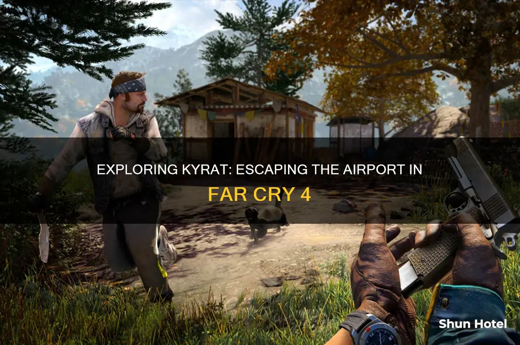 can you take out kyrat int airport farcry 4