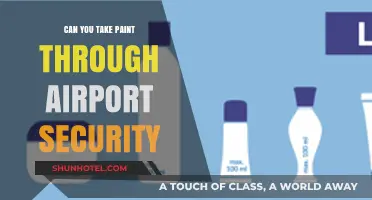 Airport Security and Paint: What's Allowed?