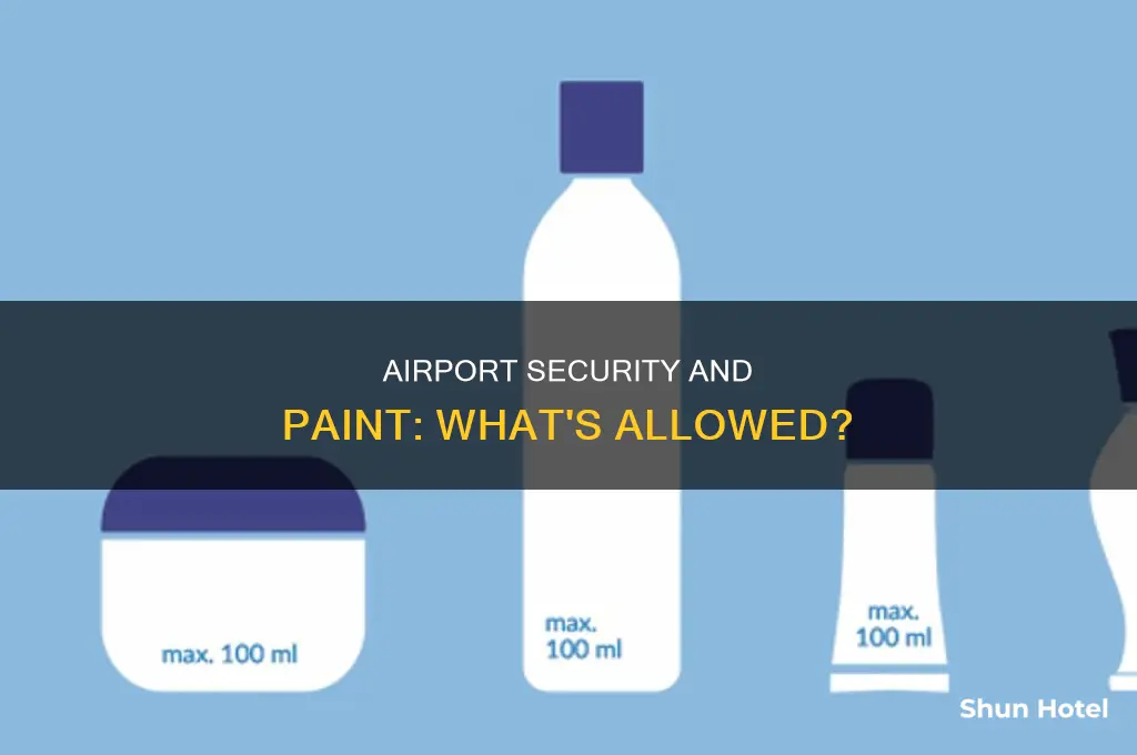 can you take paint through airport security
