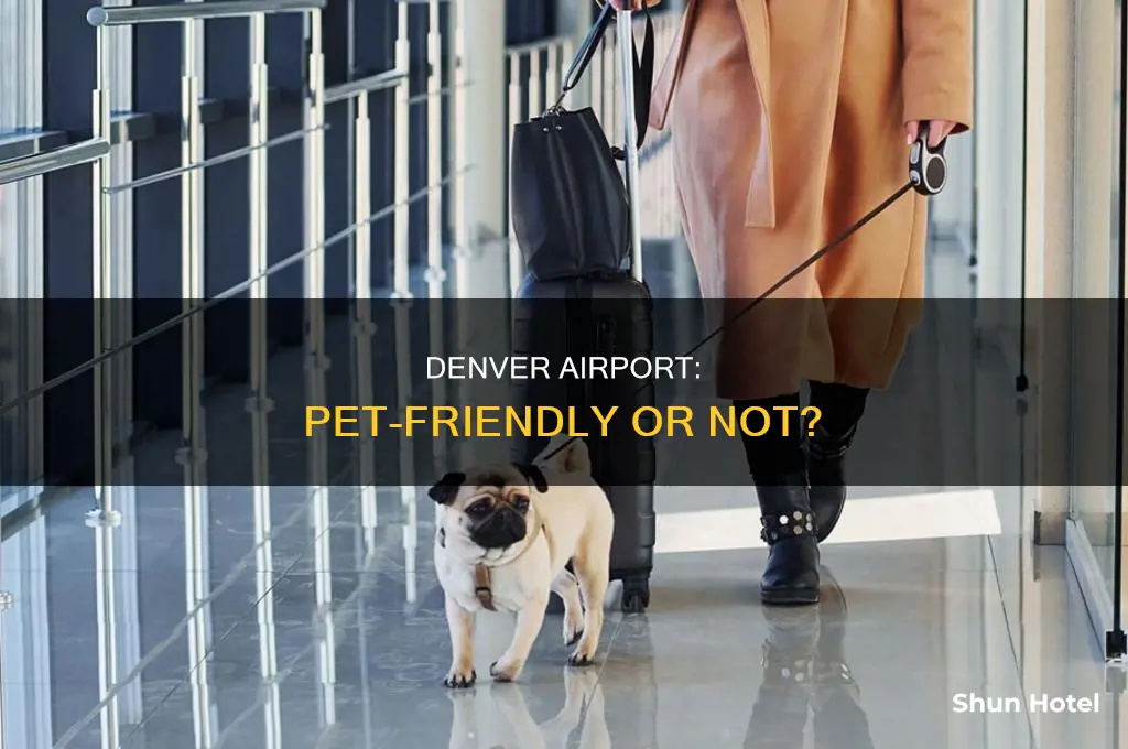 can you take pets into denver international airport