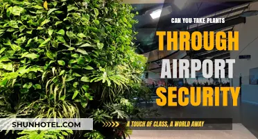 Airport Security and Plants: What's Allowed?
