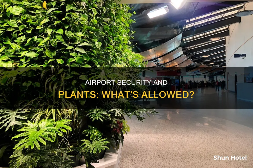 can you take plants through airport security