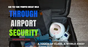 Traveling and Breastfeeding: Airport Security and Pumped Milk