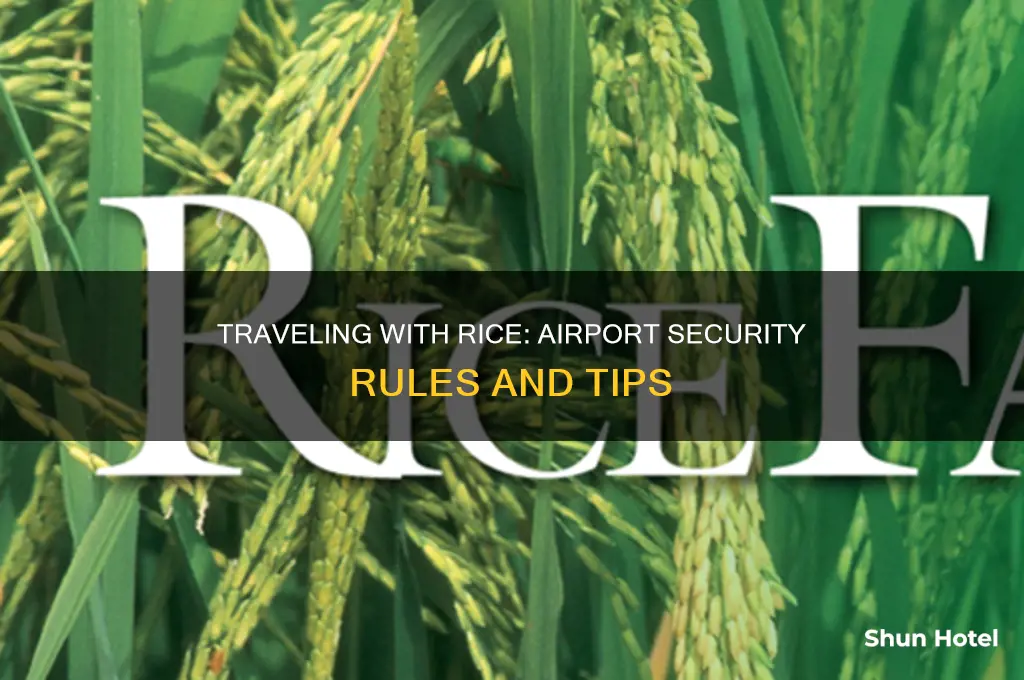can you take rice through airport security
