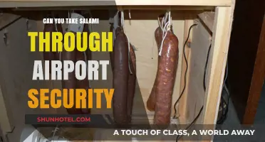 Traveling with Salami: Airport Security Rules