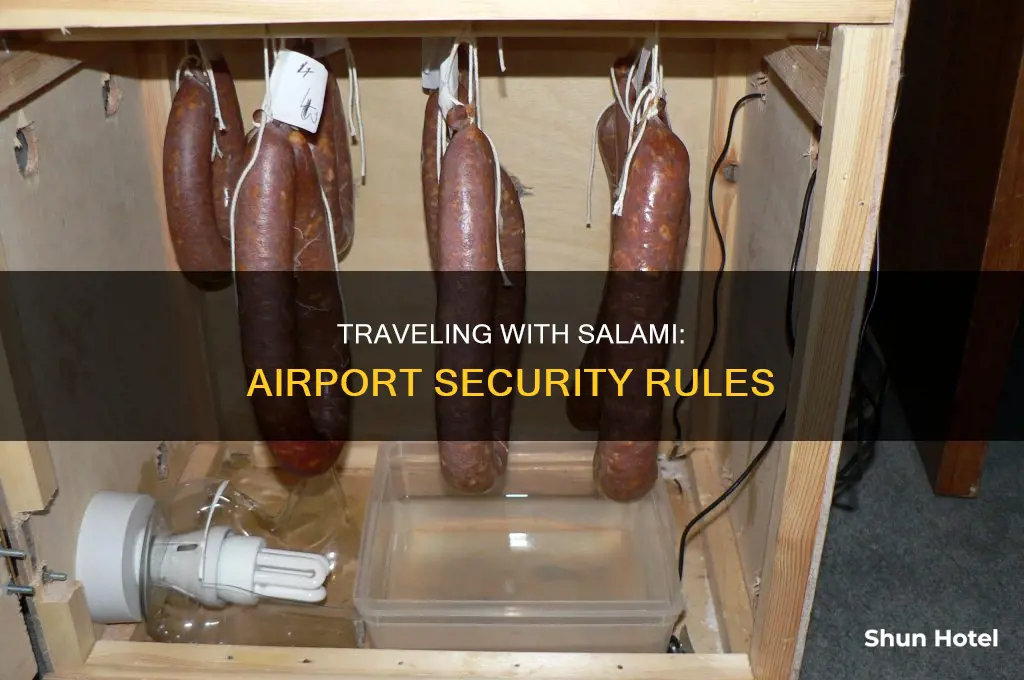 can you take salami through airport security