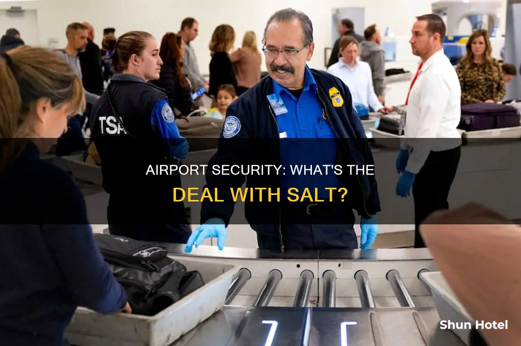 can you take salt through airport security