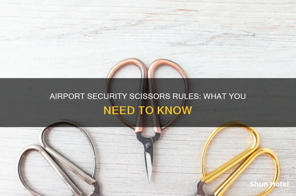 can you take scissors through airport security