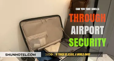 Shells at Airport Security: What's Allowed?