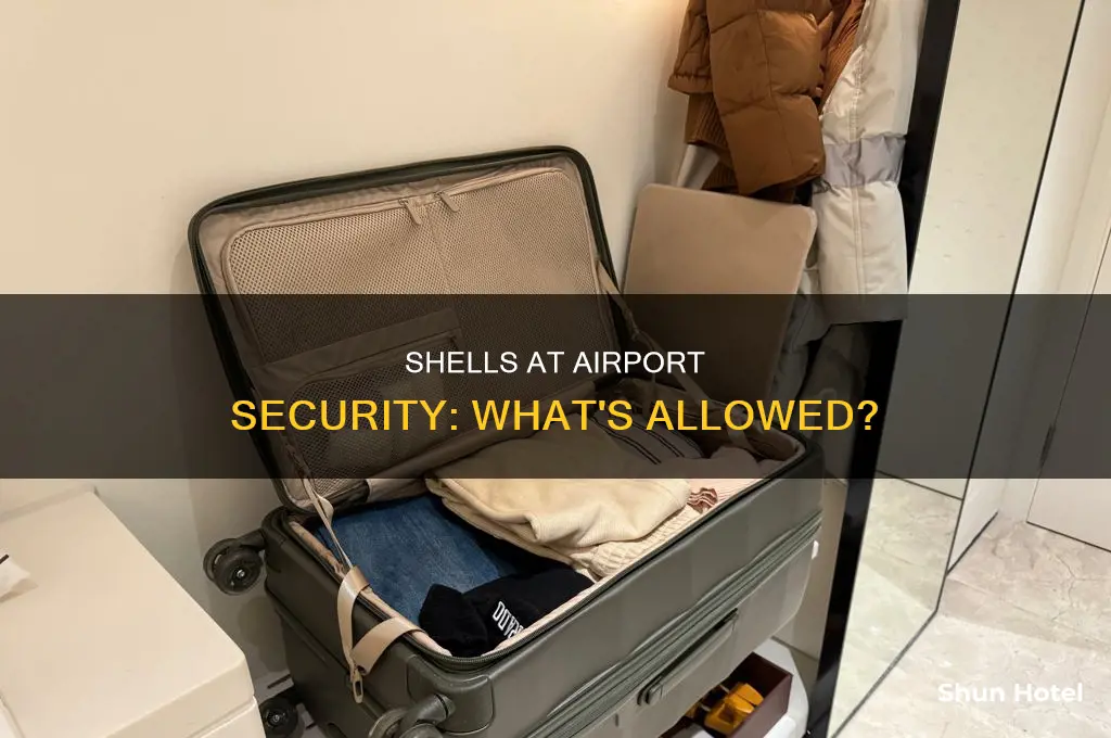 can you take shells through airport security