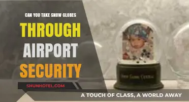 Snow Globe Travel: Airport Security Clearance?