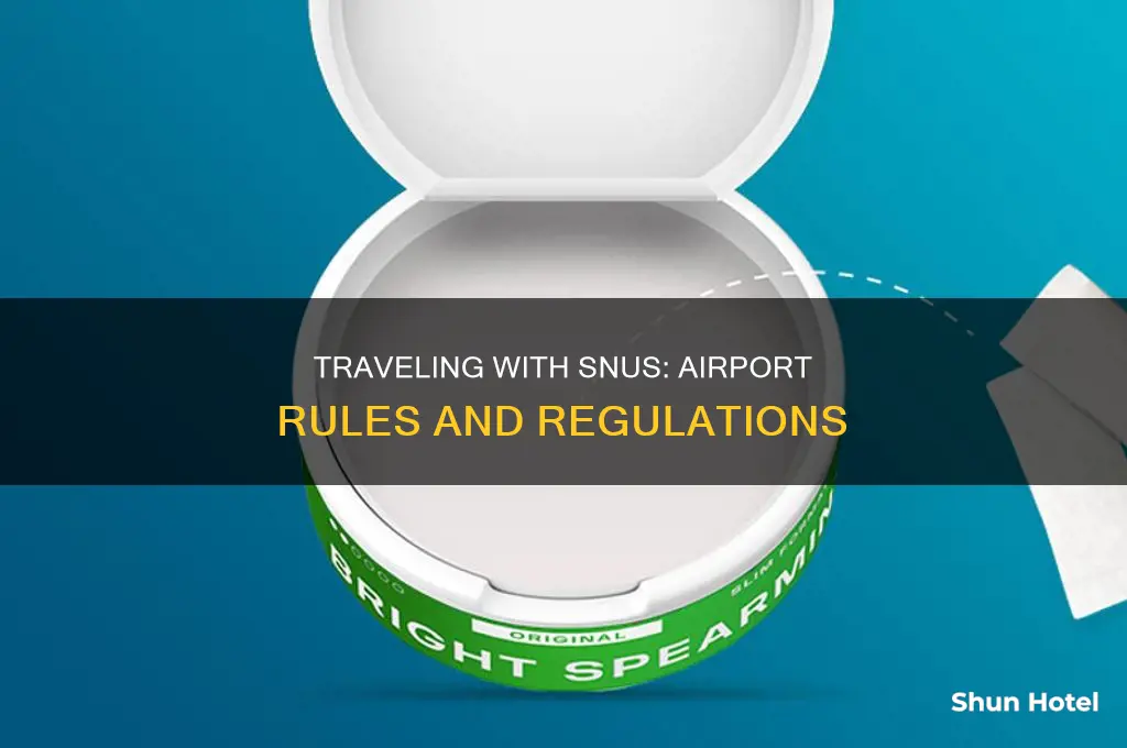 can you take snus through airport