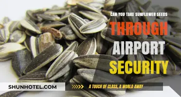Sunflower Seeds: Airport Security Clearance?