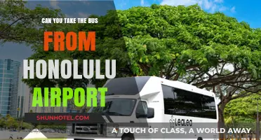 Honolulu Airport: Exploring Bus Travel Options