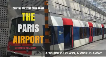 Traveling from Paris Airport by Train: Is It Possible?