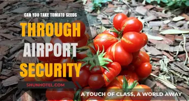 Traveling with Tomato Seeds: Airport Security Rules