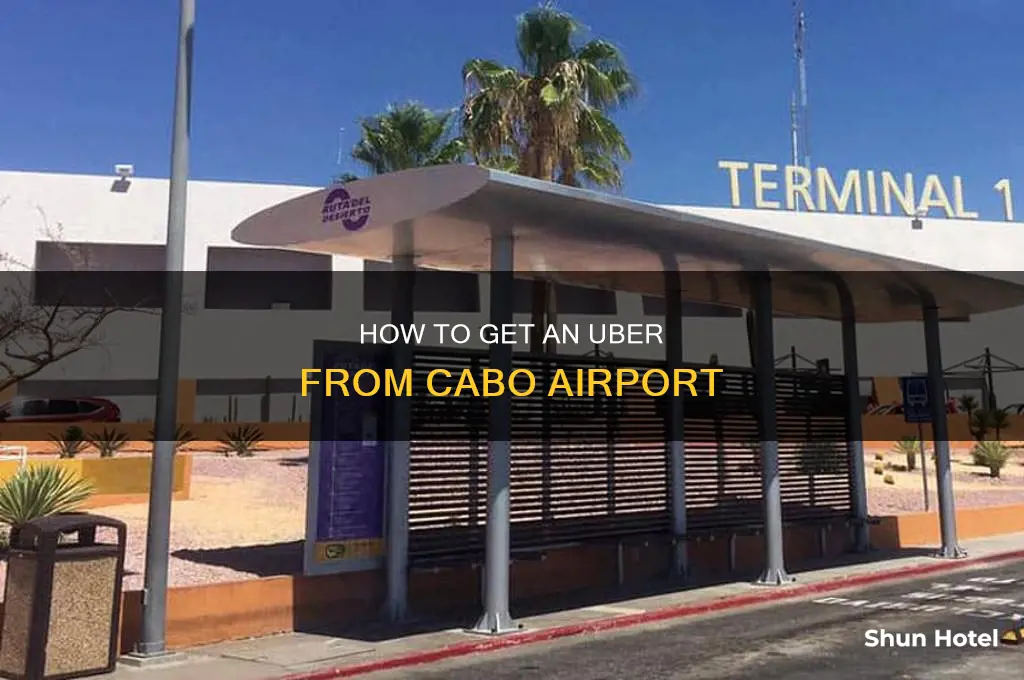 can you take uber from cabo airport