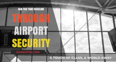 Airport Security: Can You Bring Vaseline?