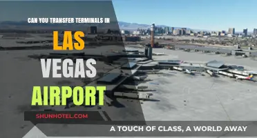 Navigating Terminals at Las Vegas Airport: Transfers Possible?